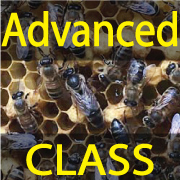 Advanced Class