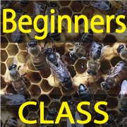 Beginners Class
