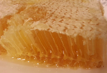 Honey on a comb. Yum!