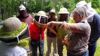 Our class at the bee yard