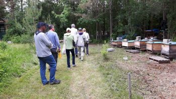 Field trip to the apiary